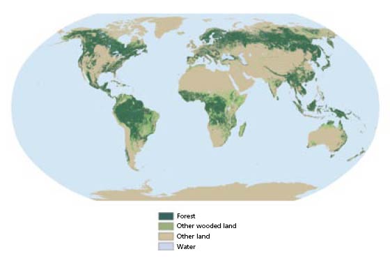 The world’s forests 