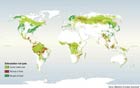 Locations reported by various studies as undergoing high rates of change in forest cover in the past few decades