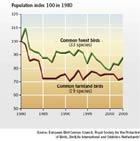 Trends in European common birds in farmland and forest habitats