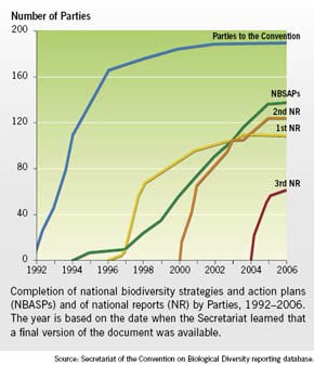 Participation in Convention processes