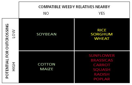 examples of major crops grouped by their ability to disperse pollen and the occurrence of weedy relatives in the continental United States