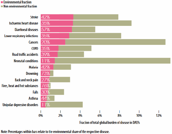 Diseases with the strongest environmental contribution
							globally