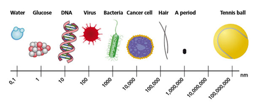 Figure : Size of objects in a nanometer scale. (modified from:
								National Cancer Institute, USA).