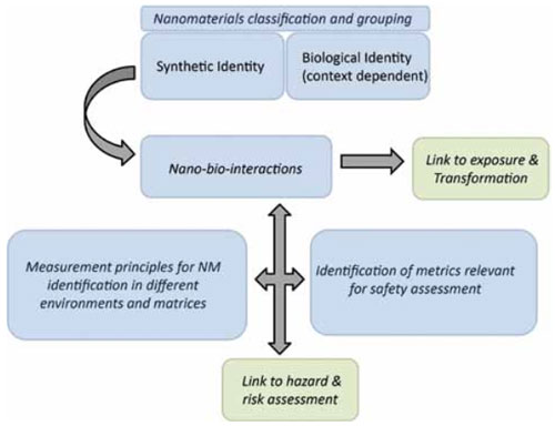 Inter-relationship between the sub-elements of Identification and classification and the other cross-cutting themes. 