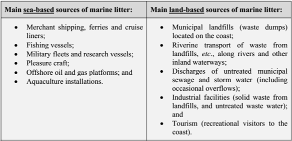 Marine Litter an analytical overview