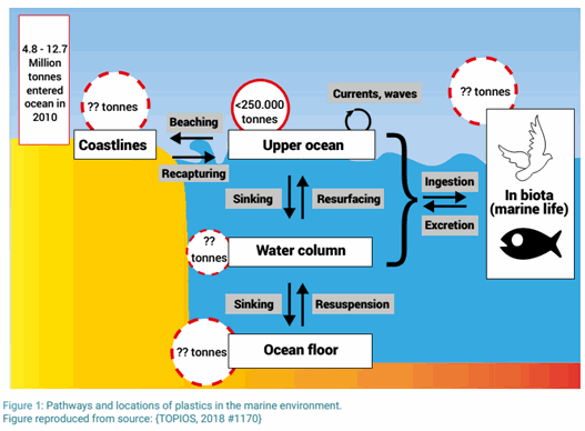 Pathways and locations of plastics in the marine environment