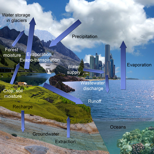 Schematic of the hydrologic cycle components in present-day setting