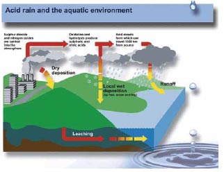 Acid rain and its deposition processes