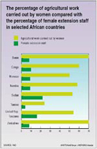 Participación de la mujer en las labores agrícolas en algunos países de África