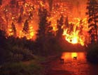Los incendios forestales podrían volverse más frecuentes