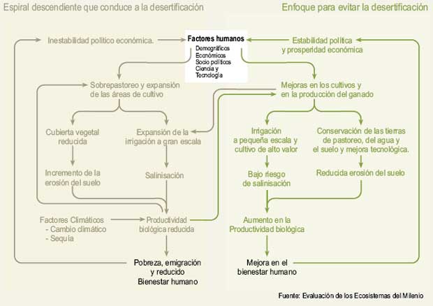 Schematic Description of Development Pathways in Drylands