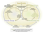 Gráf. 6.1 Con Interrelaciones y Circuitos de Retroalimentación entre la Desertificación, el Cambio Climático Mundial y la Perdida de Biodiversidad