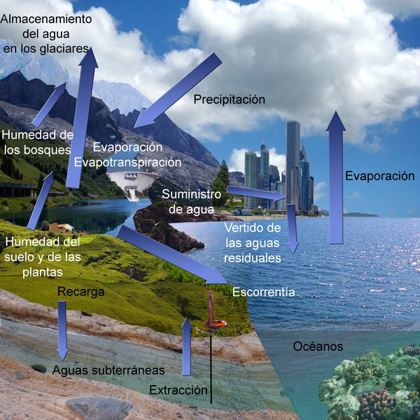 Representación esquemática de los componentes del ciclo del agua