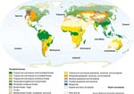 Carte des differents biomes