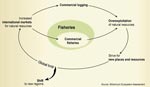 Surexploitation et interactions entre "facteurs de changement"