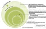 Biodiversité restante en 2100