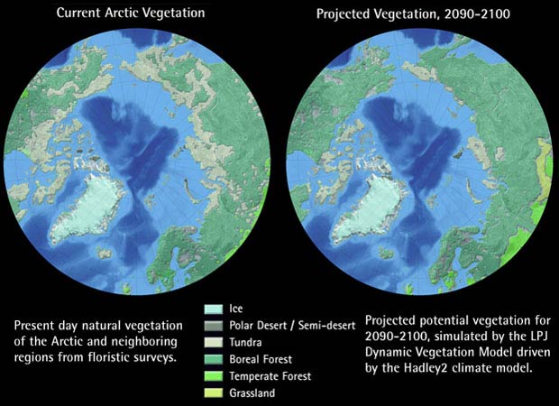 Current - Projected Vegetation