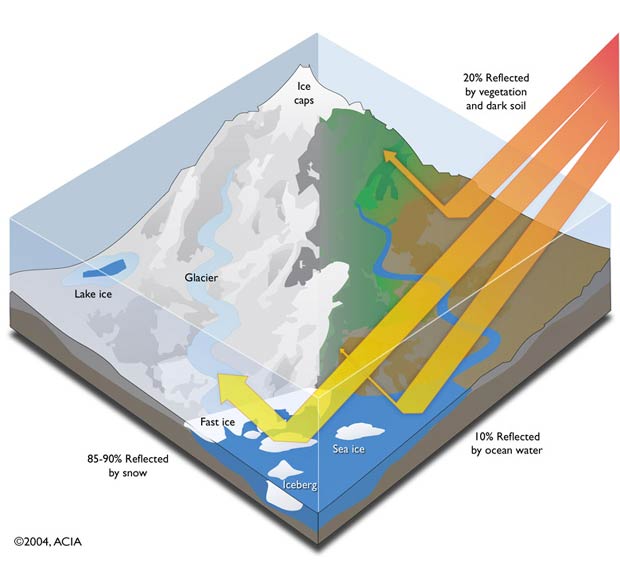 Surface Reflectivity