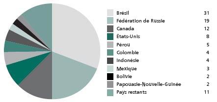 10 pays ayant le plus de forêt primaire (en 2005)