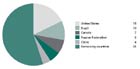 Les cinq pays ayant le volume d’extractions de bois le
                                            plus important 2005