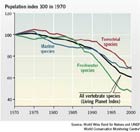 Indice « Planète vivante » : tendances mondiales au
                                            niveau des populations d’espèces terrestres, d’eau douce
                                            et marines