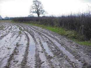 Waterlogged field