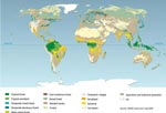 Mapa de la cobertura 
                                    de la tierra en 2000