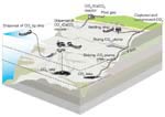 Opslagmethodes in de oceaan 