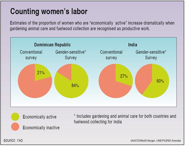 Counting women's labor