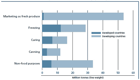 Gebruik van de visvangstproductie (uitsplitsing per hoeveelheid), 2006