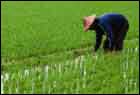 Zie ook de digest over Ecosysteemverandering [en]