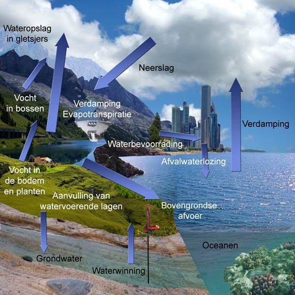 Schematische voorstelling van de waterkringloop